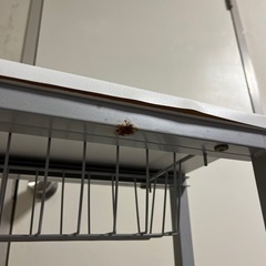 収納家具 ②の画像