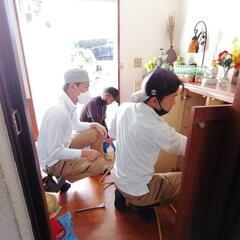 羽アリが飛び出すほどの被害続出中！ − 沖縄県