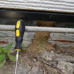 羽アリが飛び出すほどの被害続出中！ - 害虫/害獣駆除