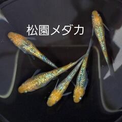 N-Labエヌラボ　沼マルシェ開催します！ - 岩手郡
