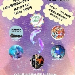 めだか　メダカ　めだかイベント　メダカ販売