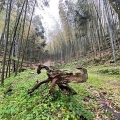竹商品つくりメンバー募集