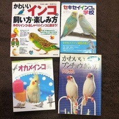 鳥の飼い方