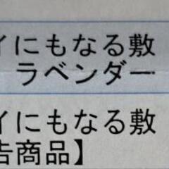 敷パット(シングル)本日のみの値下げの画像