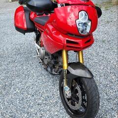 ドカティ ムルティストラーダ1100Sの画像