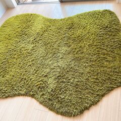 【オーダーメイド】カーペット ラグ グリーンの画像