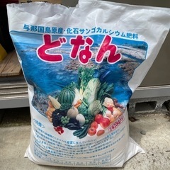 錦鯉YouTubeで話題！どなん