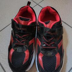 スニーカー22.0センチ