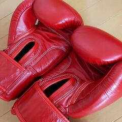 WINDY製ボクシンググローブの画像
