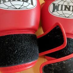WINDY製ボクシンググローブの画像