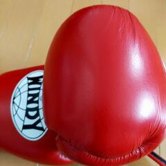 WINDY製ボクシンググローブの画像