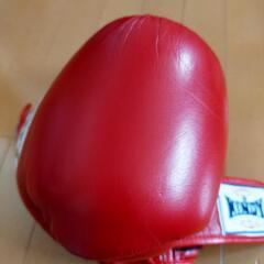 WINDY製ボクシンググローブの画像