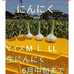 生にんにく