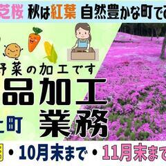 【寮完備／送迎あり】農産物加工業務〈滝上〉