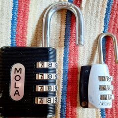 🔒️南京錠 ナンバー変更式 2点セットの画像