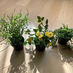 観葉植物　造花　セット