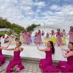 フラダンス教室　Hula Studio mahinaの画像