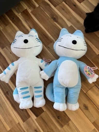11匹の猫