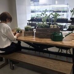 お洒落なお花屋さんの業務を行う就労継続支援B型事業所で、目標工賃達成指導員を募集します！の画像