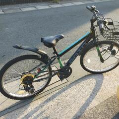 ジュニア向け自転車
