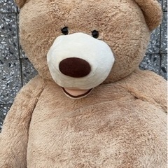 相談中】早い者勝ち さしあげます コストコ テディベア HAGF...