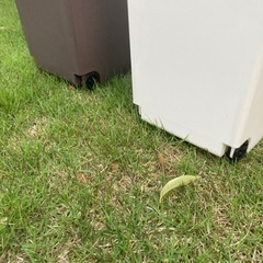 ゴミ箱　収納ボックス　×2の画像