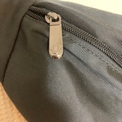 ⭐️トゥルーレリジョン・ボディバッグ⭐️の画像