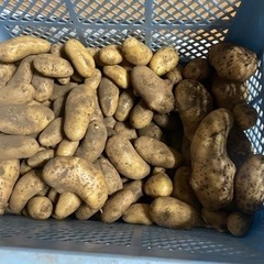 🥔減農薬栽培🥔じゃがいも　2kg400円〜の画像