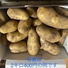 🥔減農薬栽培🥔じゃがいも　2kg400円〜