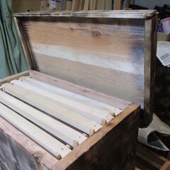 大）西洋蜜蜂巣箱・巣枠7枚収納適用型（巣枠、巣楚組み立て