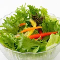 19日(金曜)または22日か23日□食事に行ける方募集 - 長野市