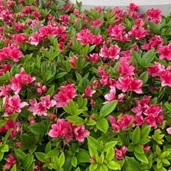 お友達募集❣️