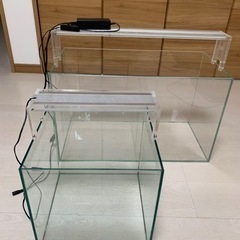 ADA 水槽&ライト