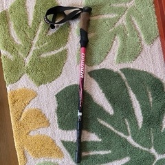 登山用スティック