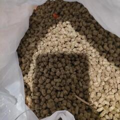 ウサギのご飯2