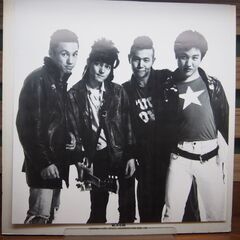 【レコード】THE BLUE HEARTS 「THE BLUE HEARTS 」 【LP】 の画像