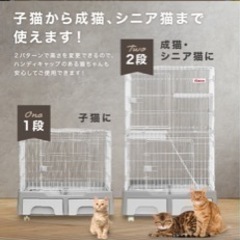 キャットゲージの画像