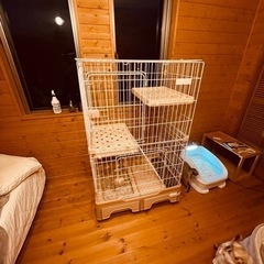 キャットゲージの画像