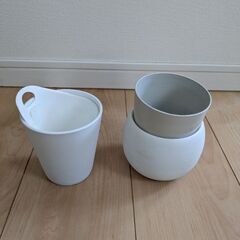 観葉植物　ガーデニング　植木鉢