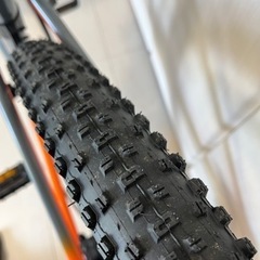 AVALANCHE GT 29インチ