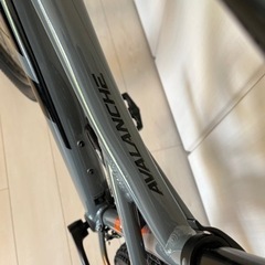AVALANCHE GT 29インチ