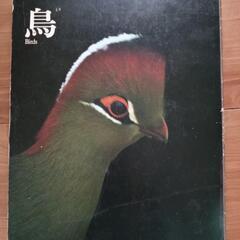 旺文社ワイドカラー図鑑 10冊フルセットの画像