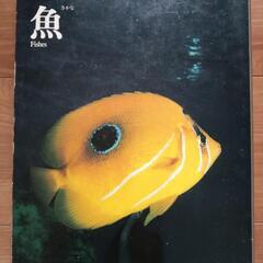 旺文社ワイドカラー図鑑 10冊フルセットの画像