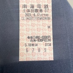南海電鉄　土休回数券　930円区間　１枚