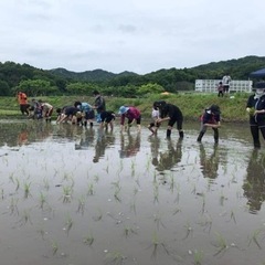はやと農園農業体験第2弾（餅米の田植え）