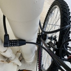 Pacific Mountain 大人用スポーツバイクの画像