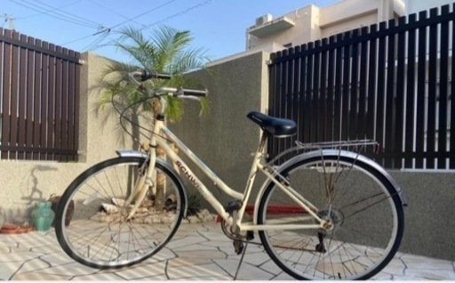 自転車　schwinn