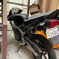 ns1