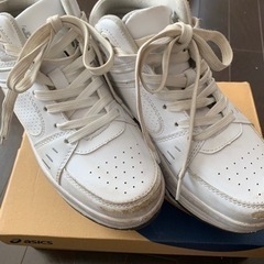 可変式ローラーシューズ　23.3cm