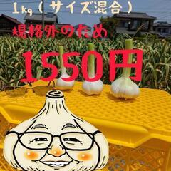 農家直送　生にんにく